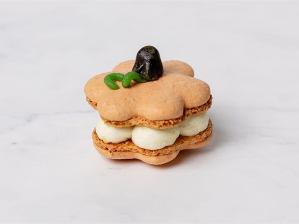 Grand Macaron Citrouille